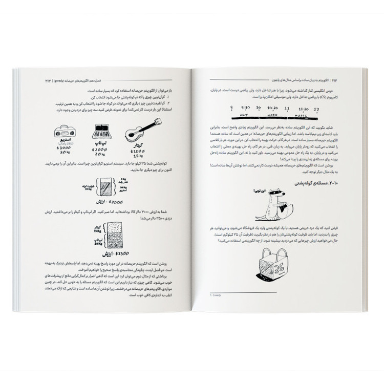 کتاب الگوریتم به زبان ساده براساس مثالهای پایتون اثر آدیتیا بهارگاوا ترجمه مهدی مرسلی نشر کیان